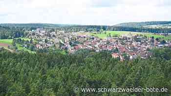 Schömberger Wald: Borkenkäfer und Misteln machen Bäumen zu schaffen