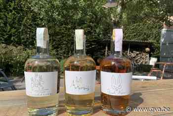 Oud Conynsbergh lanceert opnieuw zijn Sterke van Boechout - gva.be