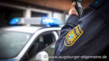 Zwei Hunde geraten in Augsburg aneinander - mit drastischen Folgen