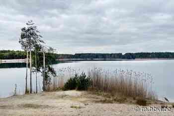 Zwemmer van 84 jaar wordt onwel en verdrinkt in zandput in Lommel - Het Belang van Limburg
