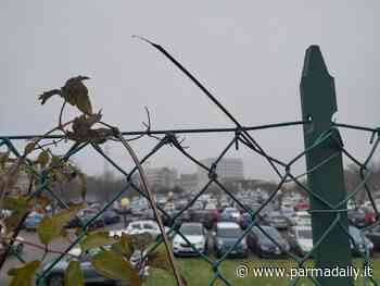 25/12 - 270 nuovi positivi a Parma, nessun decesso - - ParmaDaily.it