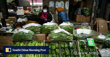 China’s Xi Jinping puts focus back on food security - South China Morning Post