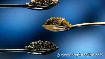 Brands want to remove caviar from its "rich man's food" label - brytfmonline.com