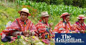 A seed for all seasons: can ancient methods future-proof food security in the Andes? - The Guardian