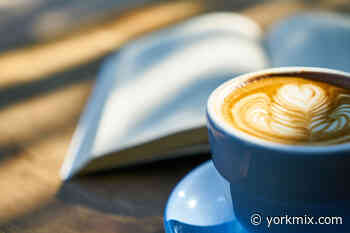 York student café gets a 1 out of 5 food hygiene rating, with 'major improvement necessary' - YorkMix