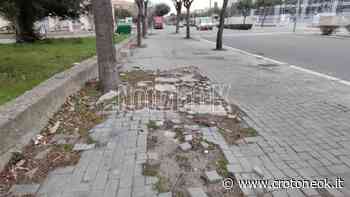 Crotone, incuria e degrado in centro città - CrotoneOK.it