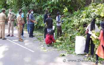Coimbatore college students help Forest Dept. remove invasive species in Valparai - The Hindu