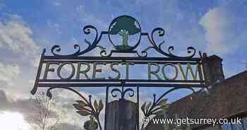 Forest Row: Things to do and see in scenic village just outside Surrey - Surrey Live