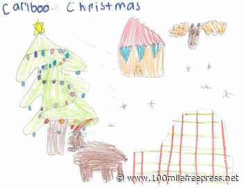 Magical Christmas tree forest in the Cariboo - 100 Mile House Free Press