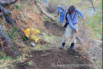 Repairing Rim Fire Damaged Trails A Gift To The Forest - MyMotherLode.com