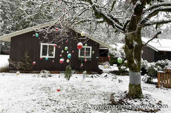 SHARE: Smiling out at you from the forest – Maple Ridge News - Maple Ridge News