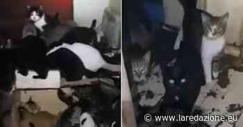 "Va oltre tutto ciò che siamo stati in grado di vedere." - laredazione.eu