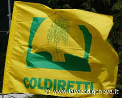 Coldiretti, Pesca e Acquacoltura: sul fermo biologico parziale soddisfazione, necessario rivedere il sistema - LaVoceDiGenova.it