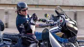 Fort McMurray man and motorcycle-riding dogs raise $200,000 for charity