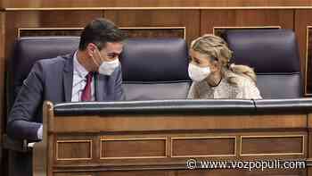 Sánchez retrasa a 2022 las leyes 'estrella' de Podemos: 'Trans', Vivienda y Bienestar Animal - Vozpópuli