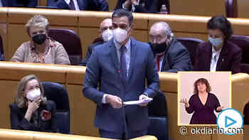 Sánchez se ríe de todos: los españoles pagarán por la luz lo mismo que en 2018 «descontada la inflación»... - Okdiario