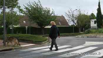 Courdimanche : les passages piétons 3D ne font pas beaucoup de différence - leparisien.fr