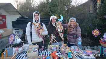 Fossano, Santo Stefano al canile di Cussanio - Cuneo24