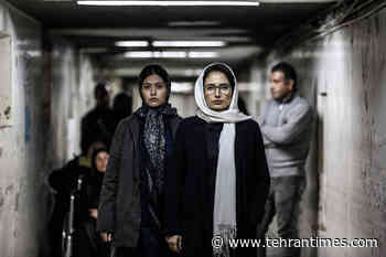 Museum of Fine Arts, Houston to screen “No Choice”, “Hit the Road” - Tehran Times