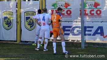Grassani: "Fallimento Catania? Ho vissuto l'esperienza del Bari e vi dico..." - BARI CALCIO
