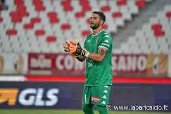 L'asse magico del Bari: Frattali impenetrabile, Botta inventa - La Bari Calcio