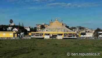 A Bari approda il circo senza animali: vengono sostituiti da ologrammi. "Vogliamo guardare al futuro" - La Repubblica