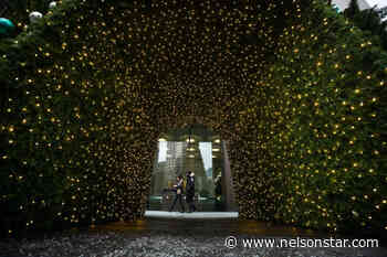 Merry Christmas or Happy Holidays? What about eggnog – yay or nay? - Nelson Star