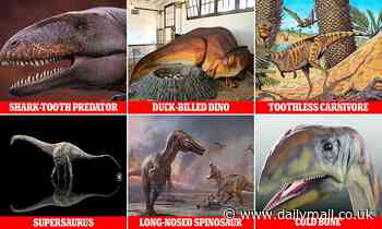 Dinosaurs: The most weird and wonderful creatures discovered in 2021