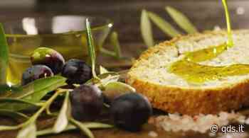 Enna, presentata la decima edizione del premio Morgantinon - Quotidiano di Sicilia