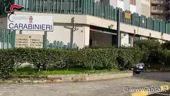 Allevatore ucciso e poi dato a fuoco a Enna, quattro arresti - Sicilia - Agenzia ANSA