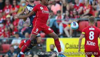 Reds' Yengi sidelined in ALM blow for Reds - Gloucester Advocate