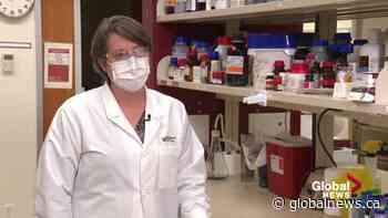 Why dangerous chemicals from the U of A needed to be detonated at Hawrelak Park