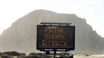 Surfer killed in apparent Christmas Eve shark attack off California coast