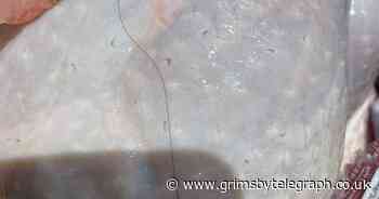 Long black hair in turkey ruins Christmas feast - Grimsby Live