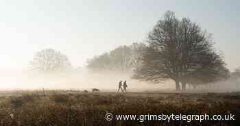 The best places for a family walk in northern Lincolnshire - Grimsby Live