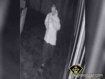 Rolex watch and more taken in Tecumseh break-in, say OPP - windsorstar.com