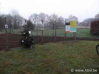 Vele boodschappen sieren troostplekjes in Paal (Beringen) | Het Belang van Limburg Mobile - Het Belang van Limburg