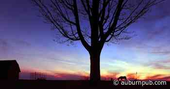 Gallery: Pictures of the Year 2021 - Landscapes of Cayuga County - The Citizen