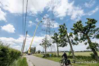 Versterking Limburgse hoogspanningslijn stap naar Europees stroomnet (Kinrooi) | Het Belang van Limburg Mobile - Het Belang van Limburg