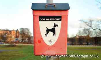 Colne: Man fined for not picking up dog poo