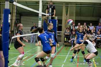 Lemmelijn imponeert, Wevoc stoot door na bekerzege tegen Stekene - Het Belang van Limburg