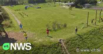 Zulte investeert fors in de jeugd de komende jaren - VRT NWS