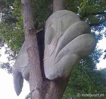 Amersfoorts Mysterie: waarom zit er een grote vis in de boom - indebuurt Amersfoort - indebuurt