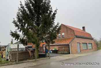 Tientallen konijnen overleven strobrand op kerstdag (Wervik) - Het Nieuwsblad