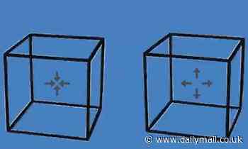 People are confused by amazing optical illusion that makes it look like these two cubes are moving