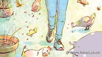 It’s Time to Start Feeding Insects to Pigs