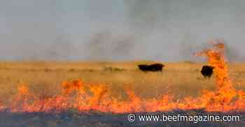 Preparations to make for wildfire season