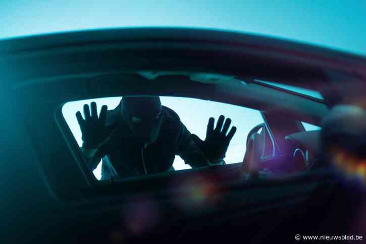 Politiezone Noord pakt autodief op