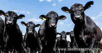 Wisconsin grant program responds to meat supply security concerns