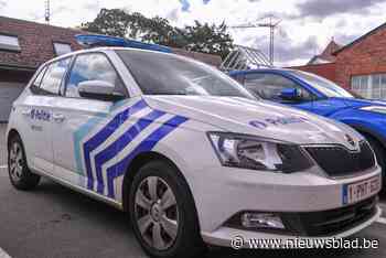 Duo veroordeeld voor geweld en diefstal